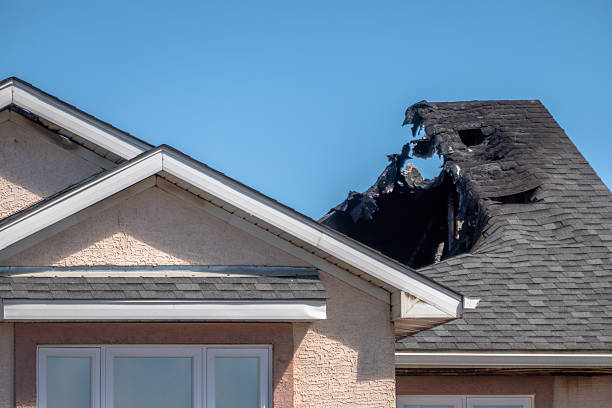 Top rated local Fire Damage Removal specialists in Le Sueur, MN